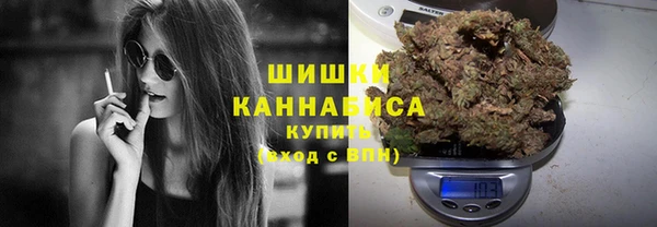 ПСИЛОЦИБИНОВЫЕ ГРИБЫ Алзамай