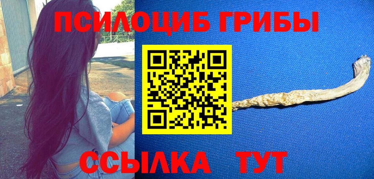Галлюциногенные грибы Psilocybe  Галлюциногенные грибы MAGIC MUSHROOMS  Вход с VPN  Люберцы 